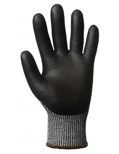 GANT ANTICOUPURE NIVEAU C