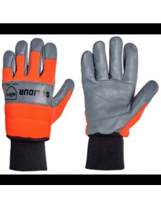 GANT CEDRE CLASSE1 GA12