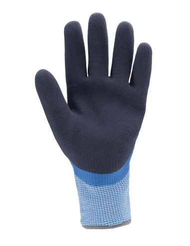 GANTS EUROWINTER D100 CUT D. 13G HPPE...